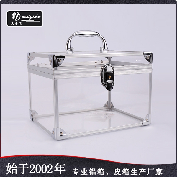 Fashion Acrylic Makeup Case D-1163