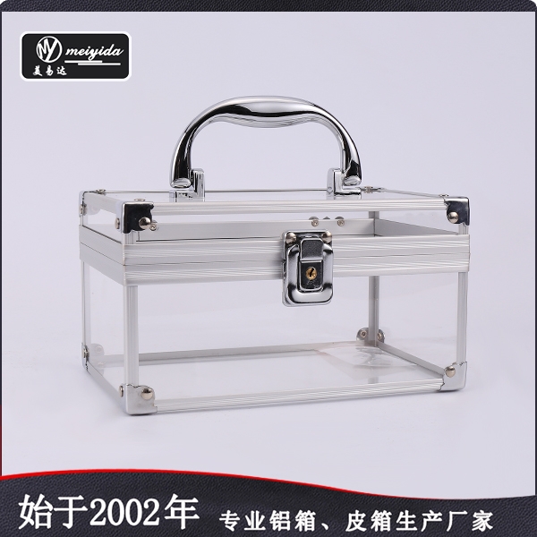 Vintage Acrylic Makeup Case D-1421