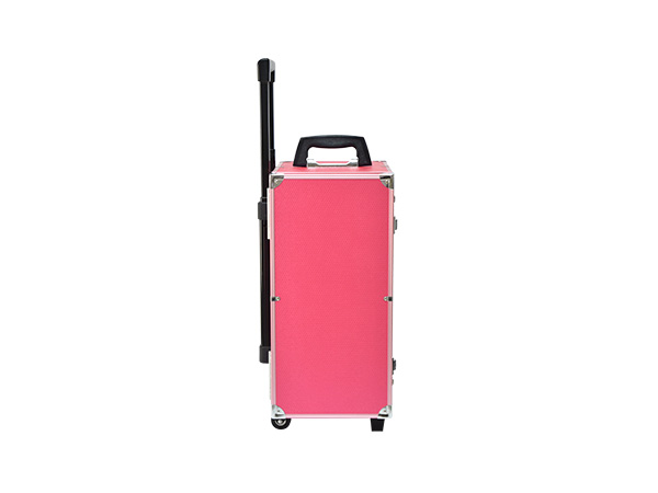Several must-have makeup cases